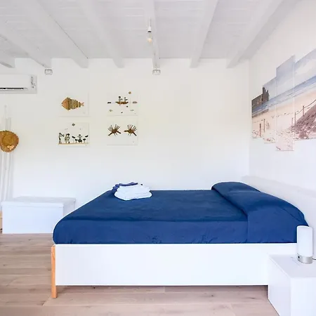 Milu Daire Cagliari