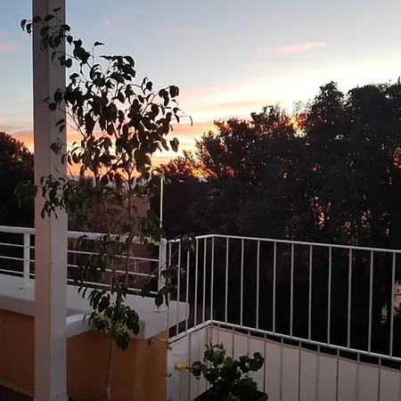 Milu